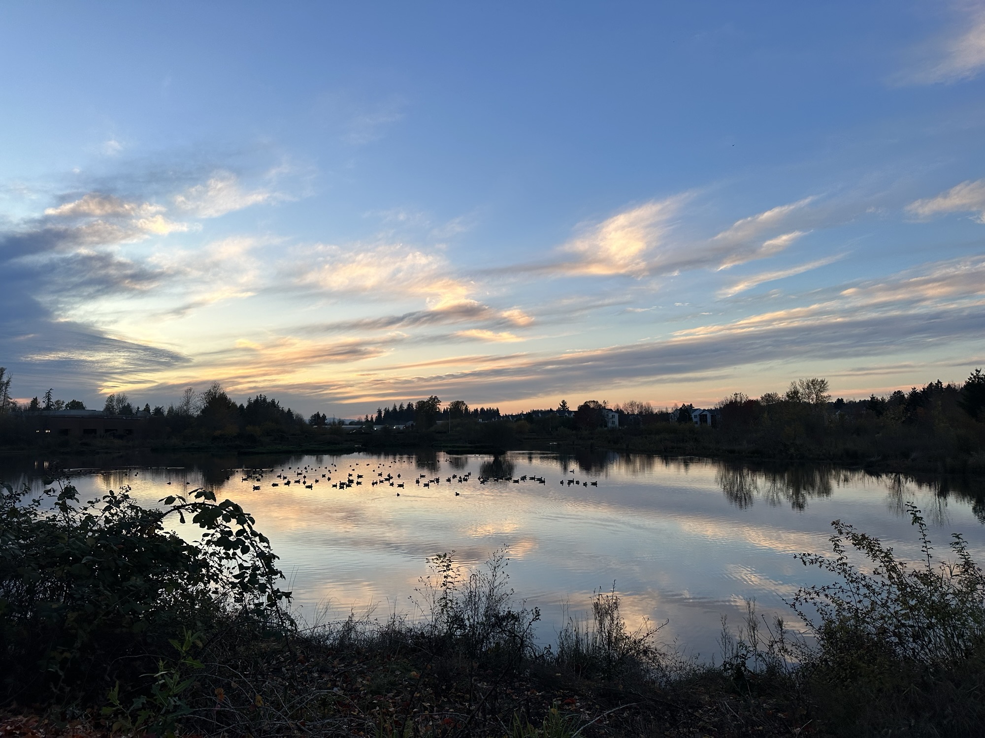 Nature Journaling is LEARNING: R is for Reflect